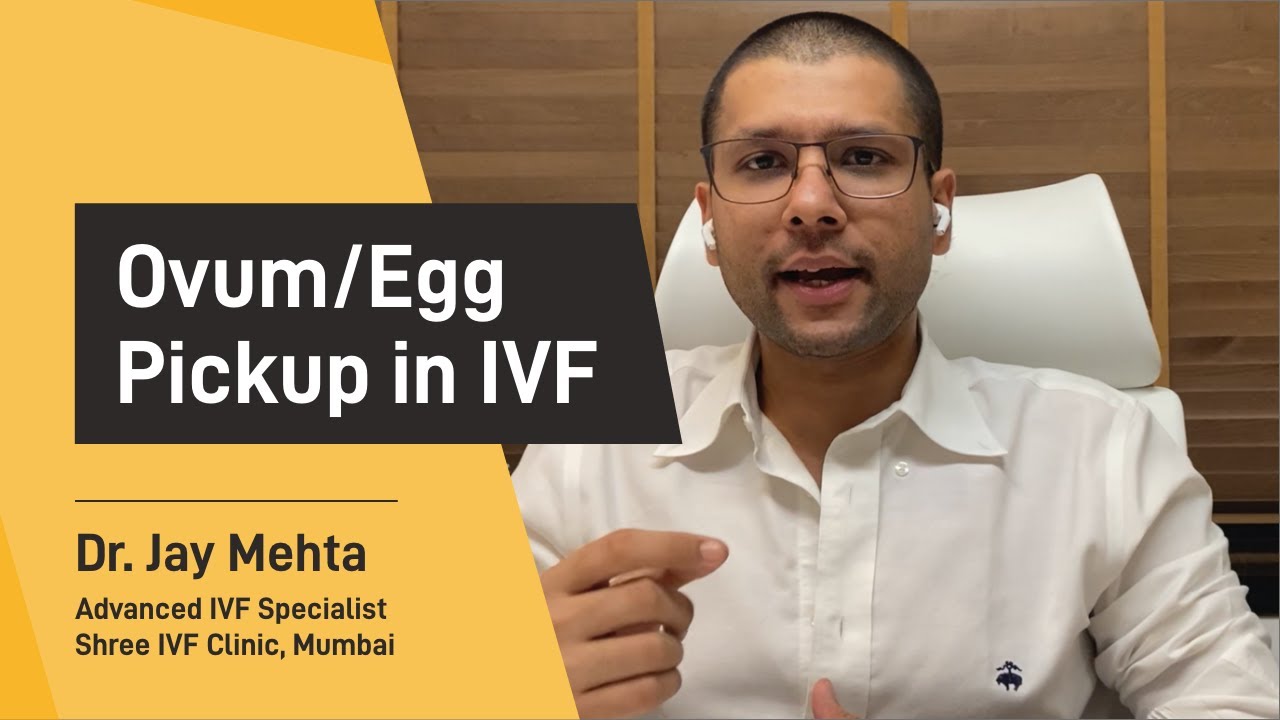 Ovum/Eggs Pickup in IVF?