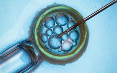 Is Preimplantation Genetic Screening (PGS) necessary in IVF