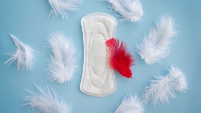All About Menstrual Problems (Period Problems) | Shree IVF Clinic - Dr. Jay Mehta