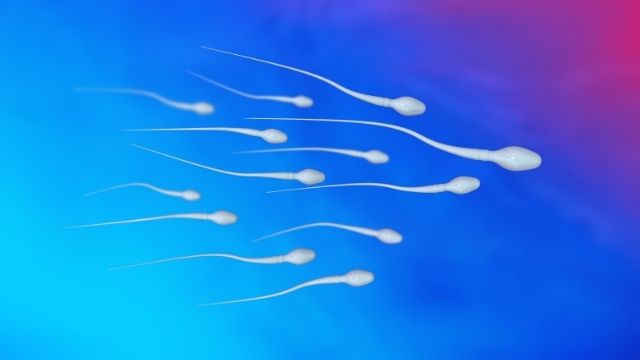 Low Sperm Motility Treatment In Chennai