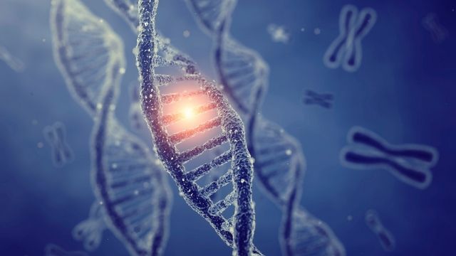 prenatal-genetic-screening-tests All About Pre-implantation genetic diagnosis (PGD or PIGD) | Shree IVF Clinic - Dr. Jay Mehta