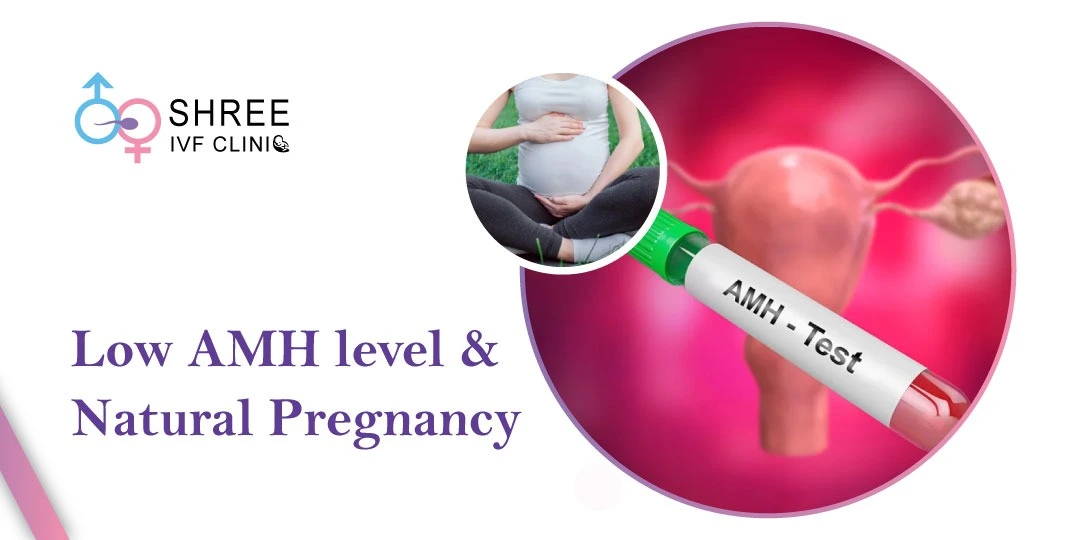 Low AMH level and Natural Pregnancy