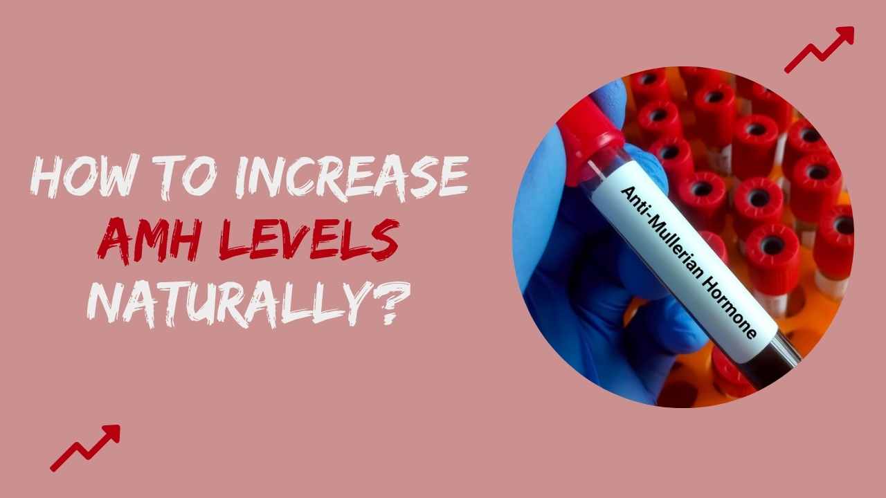 How to Increase AMH Levels Naturally?
