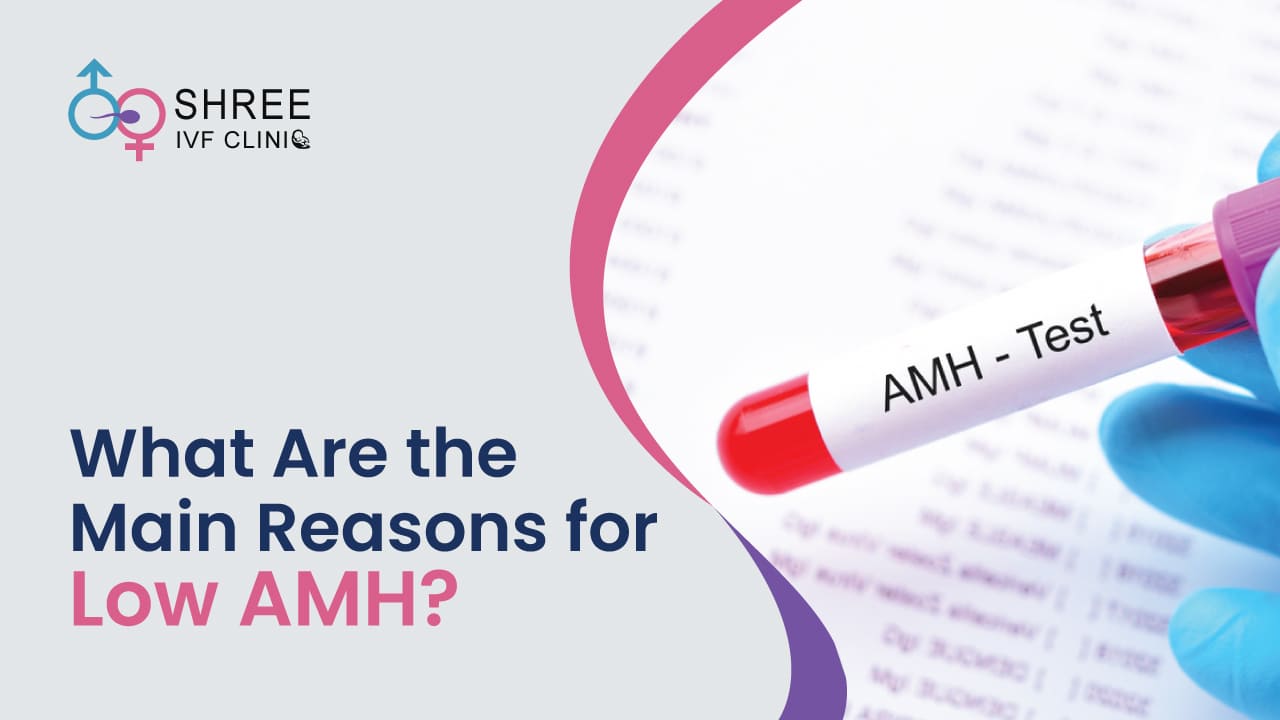 What Are the Main Reasons for Low AMH?