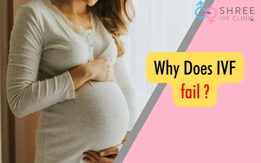 Why Does IVF Fail?