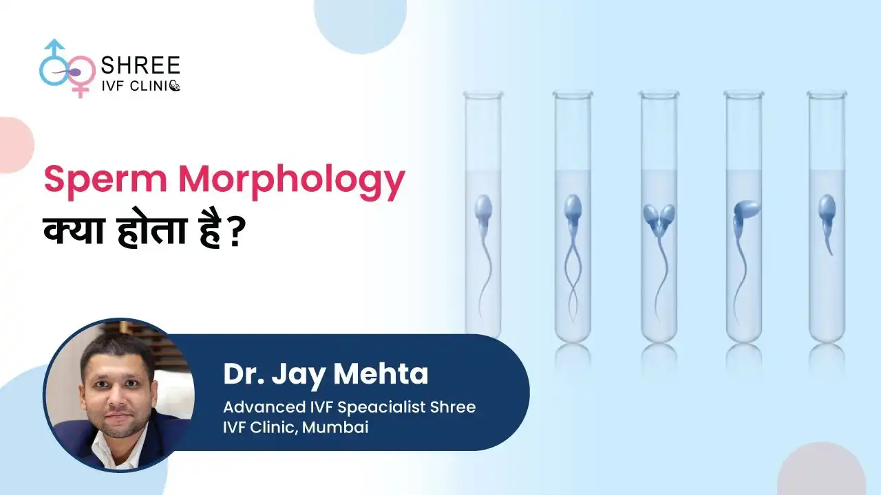 What is Sperm Morphology? By Dr. Jay Mehta