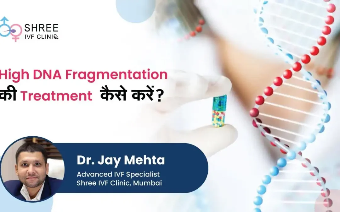 High DNA Fragmentation Treatment | Dr. Jay Mehta