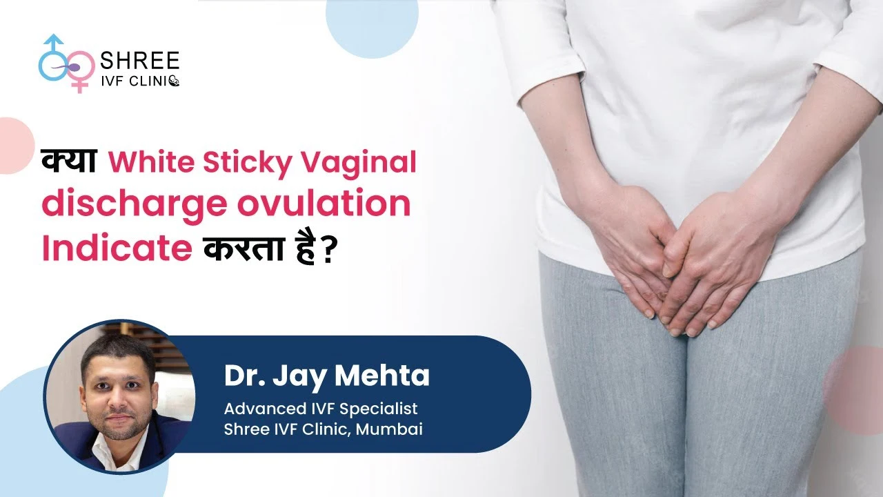 What Does White Sticky Vaginal Discharge Ovulation Indicate