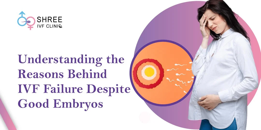 ivf failuer with good quality embryos - shreeivf ivf failuer with good quality embryos