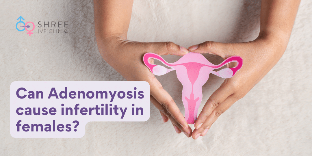 Can Adenomyosis Cause Female Infertility?