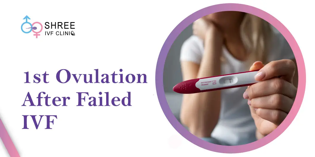 First Ovulation After Failed IVF Cycle: What to Expect?