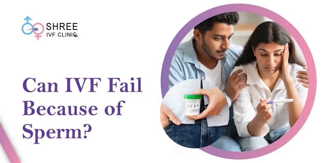 Can IVF Fail Due to Sperm?