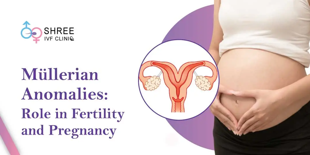 Müllerian Duct Anomalies: Role in Fertility and Pregnancy