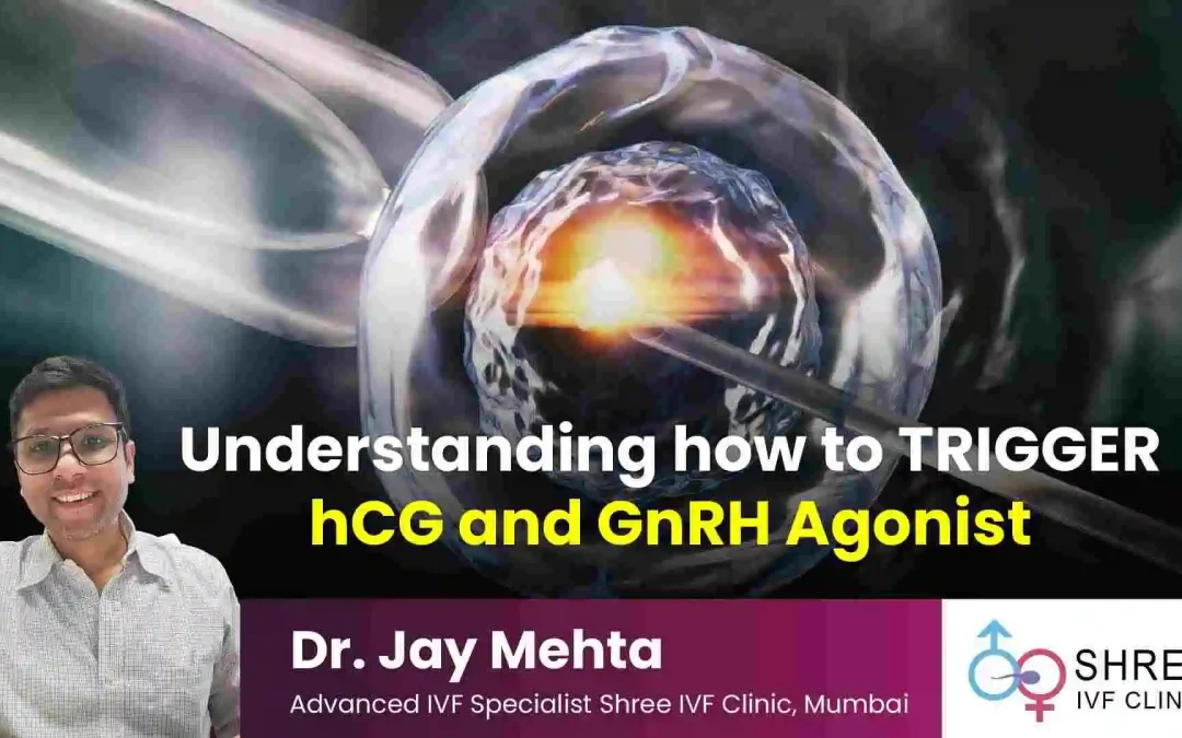 TRIGGER Injection in IVF | Dual Trigger in IVF