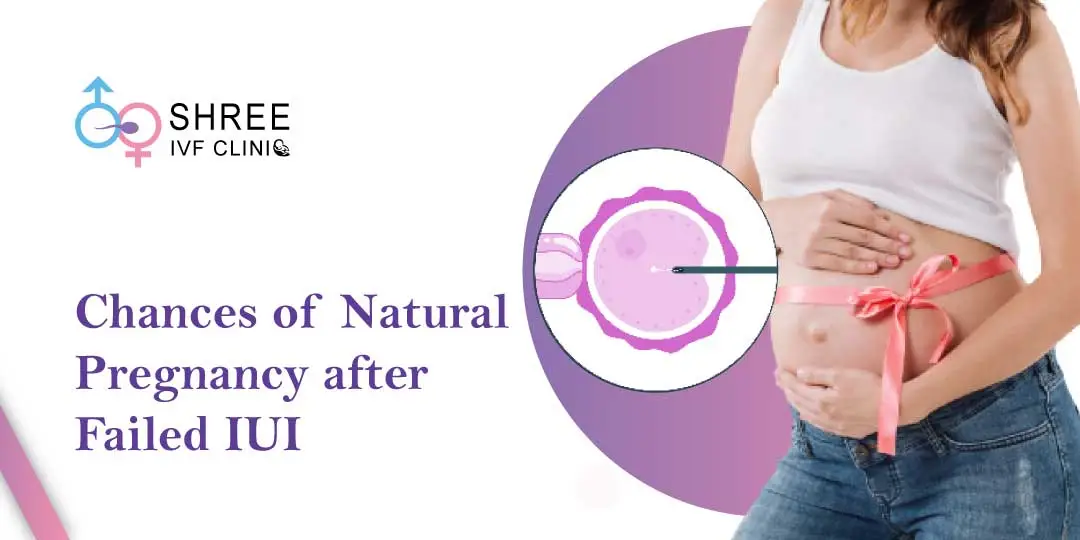 Natural-Pregnancy-after-Failed-IUI Natural Pregnancy after Failed IUI
