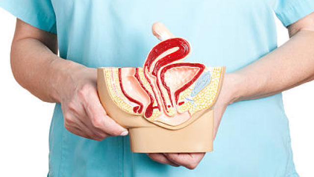 Pelvic Organ Prolapse