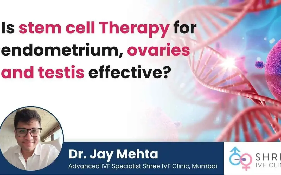 Stem Cell Therapy for Endometrium, Ovaries & Testes: Is It Effective?