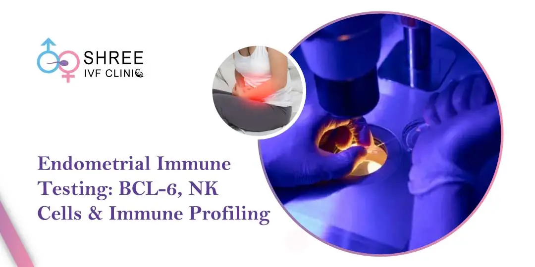 Endometrial Immune Testing: BCL-6, NK Cells & Immune Profiling