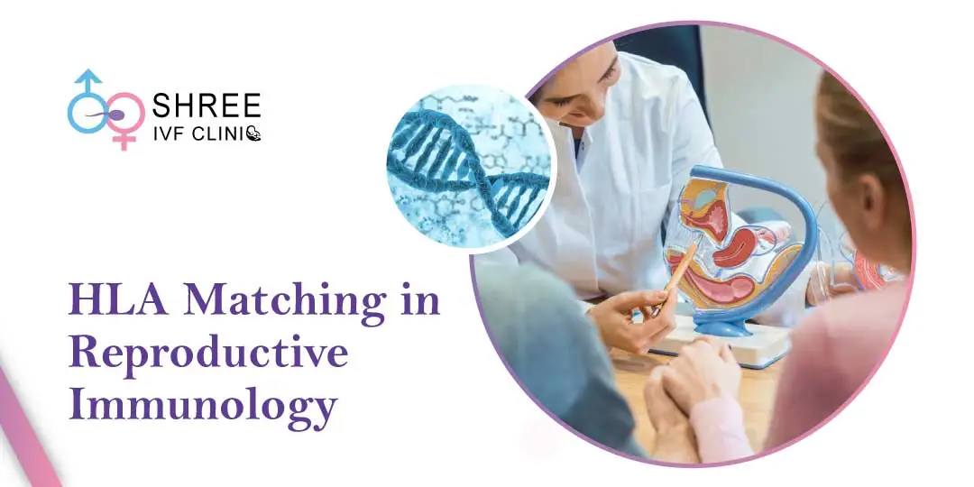 How to Interpret HLA Matching in Reproductive Immunology?