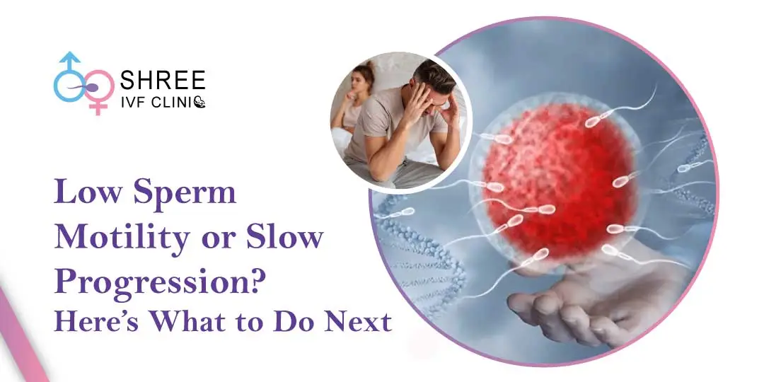 Low Sperm Motility, Slow Progression What To Do?