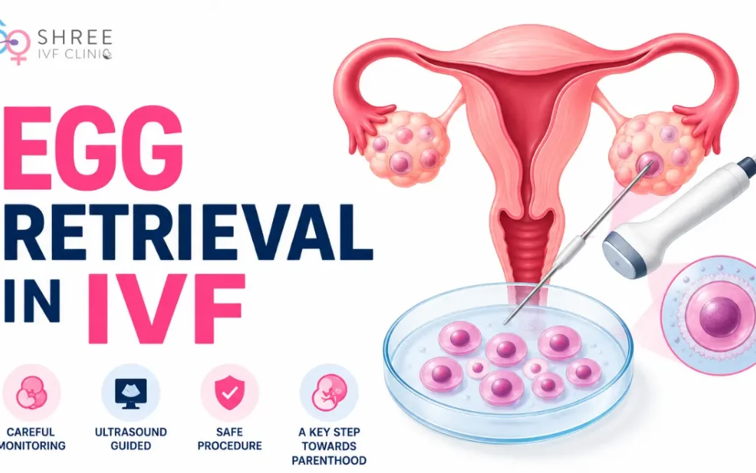 Egg Retrieval in IVF: The Complete Process, Recovery, and What Can Go Differently