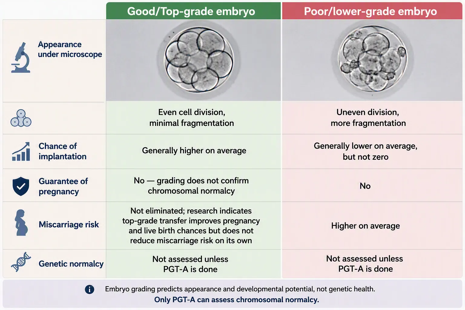 Good Quality Embryo vs Poor Quality Embryo Good Quality Embryo vs Poor Quality Embryo