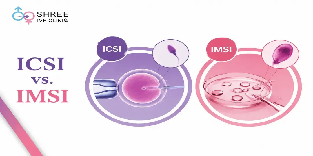 ICSI injects a single sperm into an egg using a standard microscope. IMSI is an advanced form of ICSI that uses a high-power digital microscope to magnify sperm over 6,000 times to select the healthiest shape