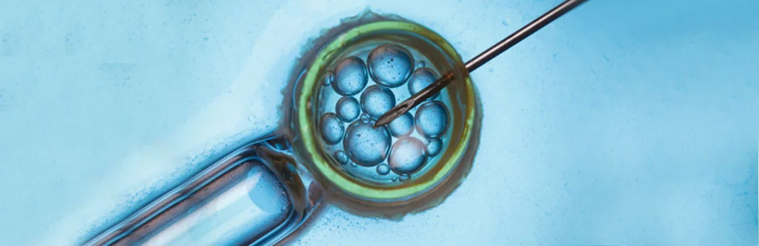 Is-PGS-necessary-in-IVF_ Is Preimplantation Genetic Screening (PGS) necessary in IVF