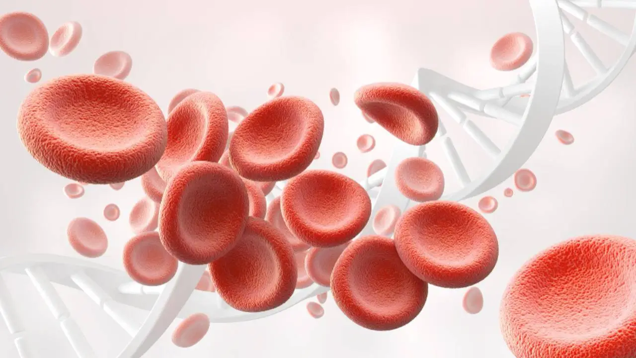 Thalassemia