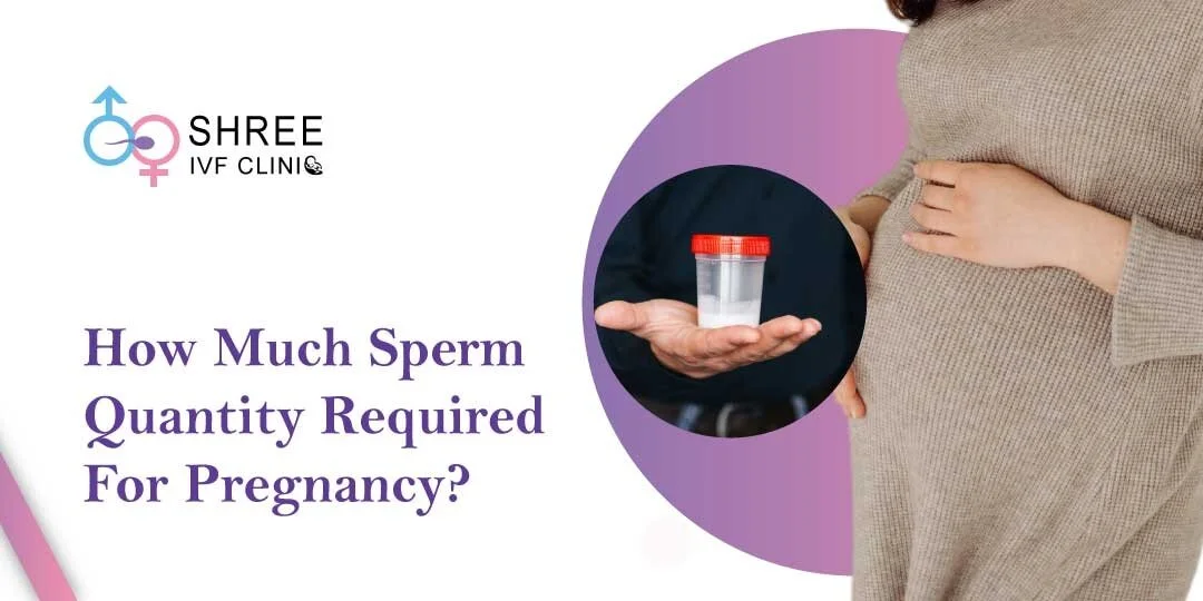 Sperm Count to Get Pregnant