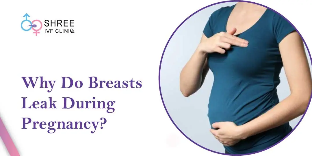 Boobs Leaking During Pregnancy