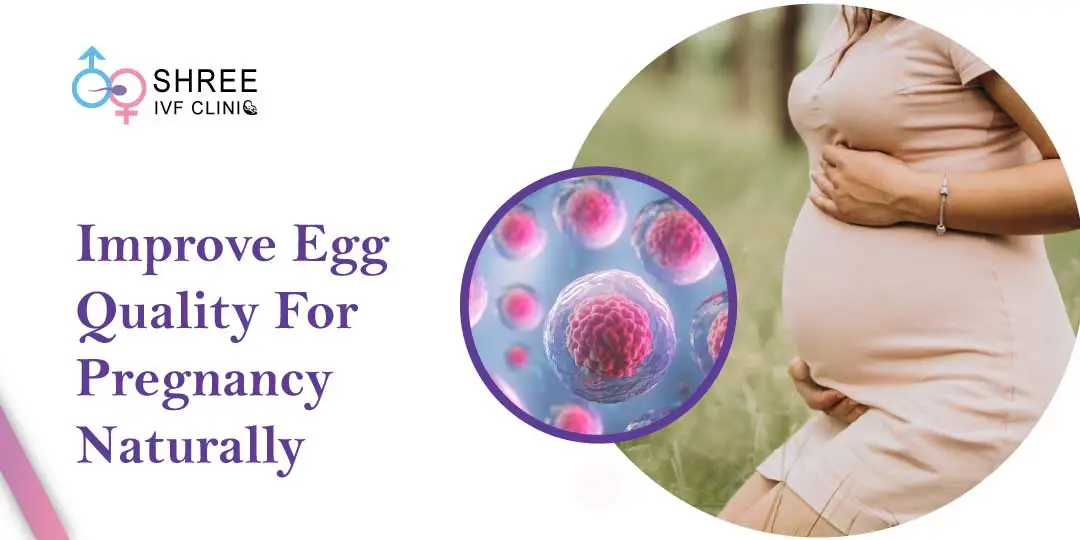 How to Improve Egg Quality for Pregnancy Naturally?