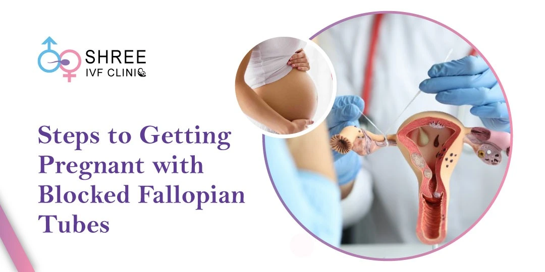 Steps to Getting Pregnant with Blocked Fallopian Tubes